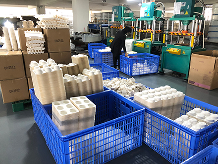 纸托产品中白纸浆和甘蔗浆有什么区别？
